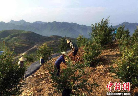 生态实践：贵州万山挖掘“绿色财富”